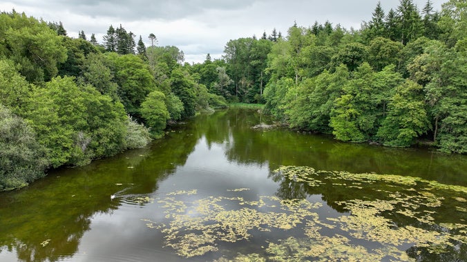 Comer Woods Dudmaston Brim Pool Paul Westall